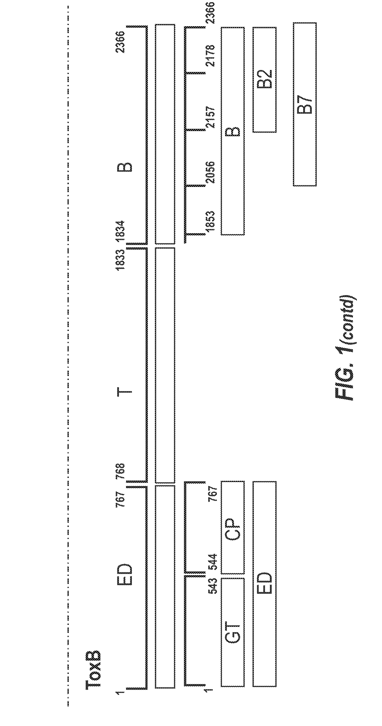 Clostridium difficile toxin-based vaccine