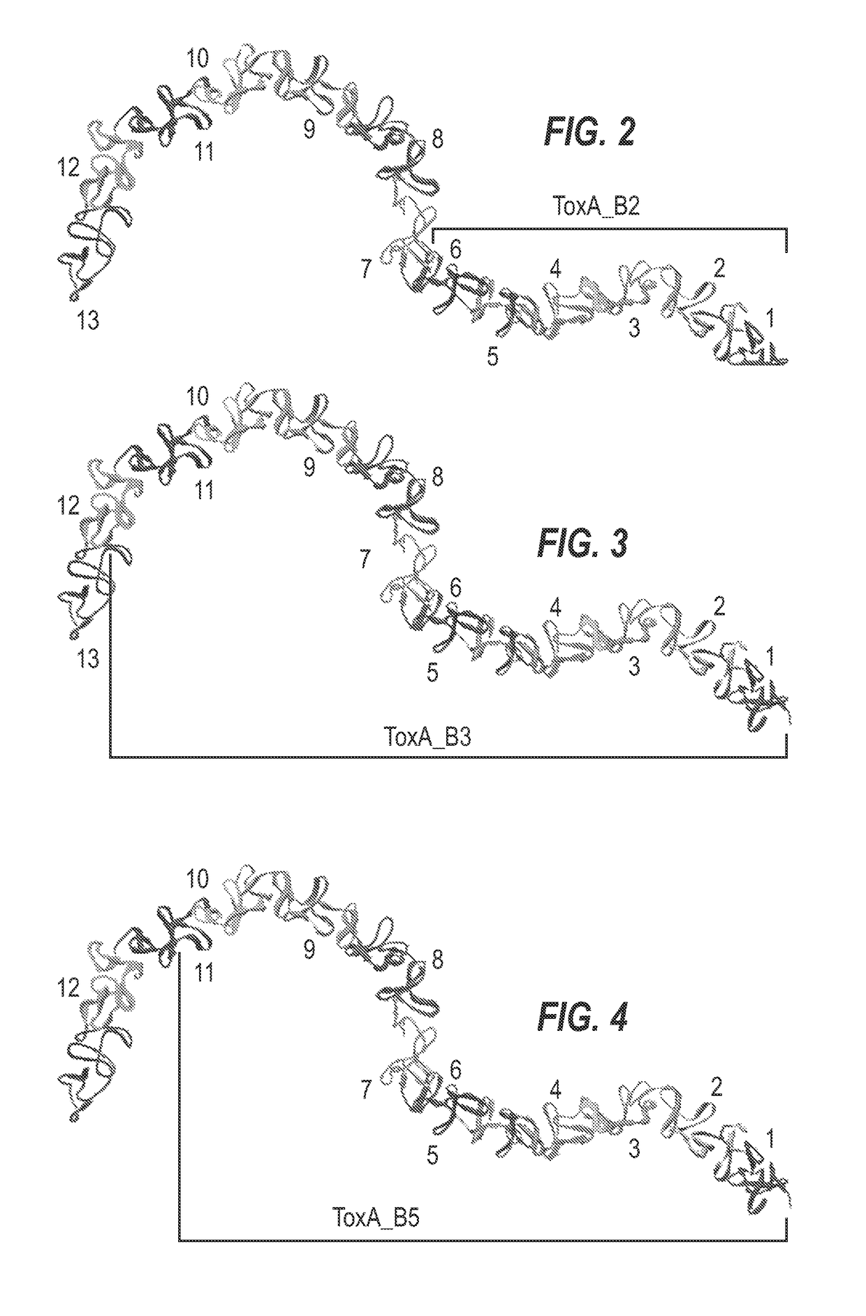 Clostridium difficile toxin-based vaccine