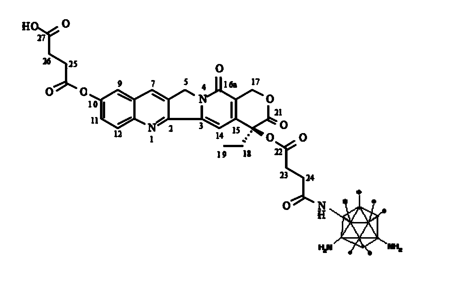 Conjugate of 10-hydroxycamptothecine-butanedioic acid and adenovirus, as well as production method and use thereof