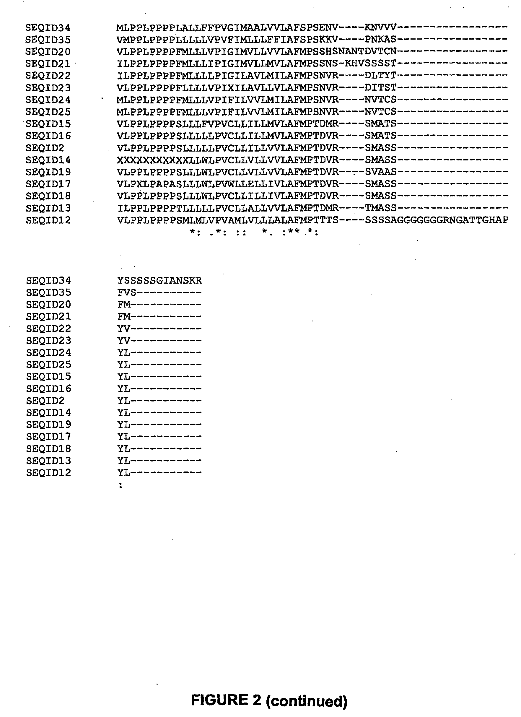 Plants having improved growth characteristics and methods for making the same