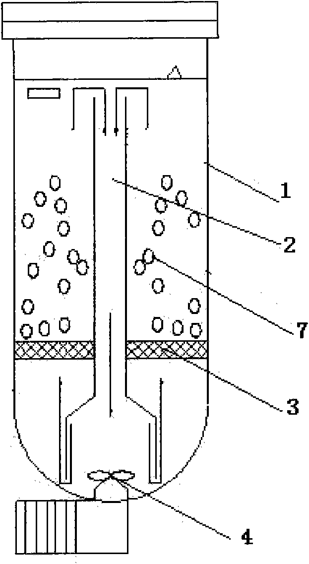 Fluidized bed bioreactor