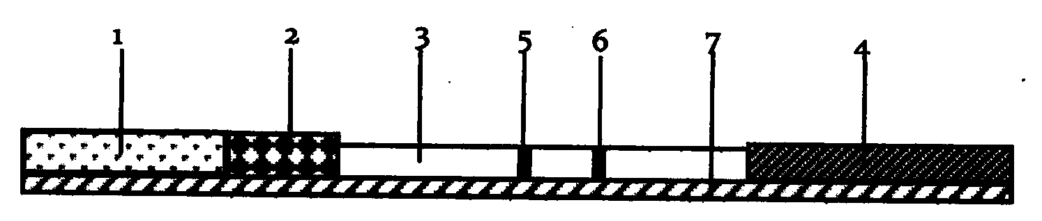 Pseudomonas putida test strip and preparation method thereof