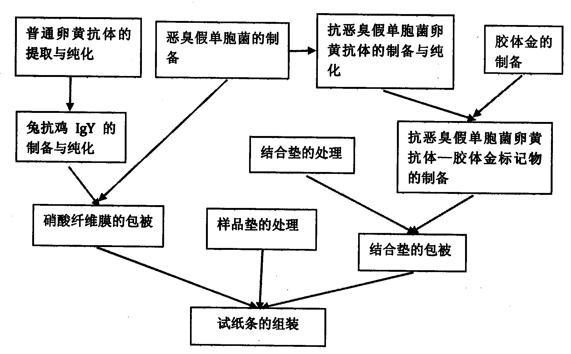 Pseudomonas putida test strip and preparation method thereof