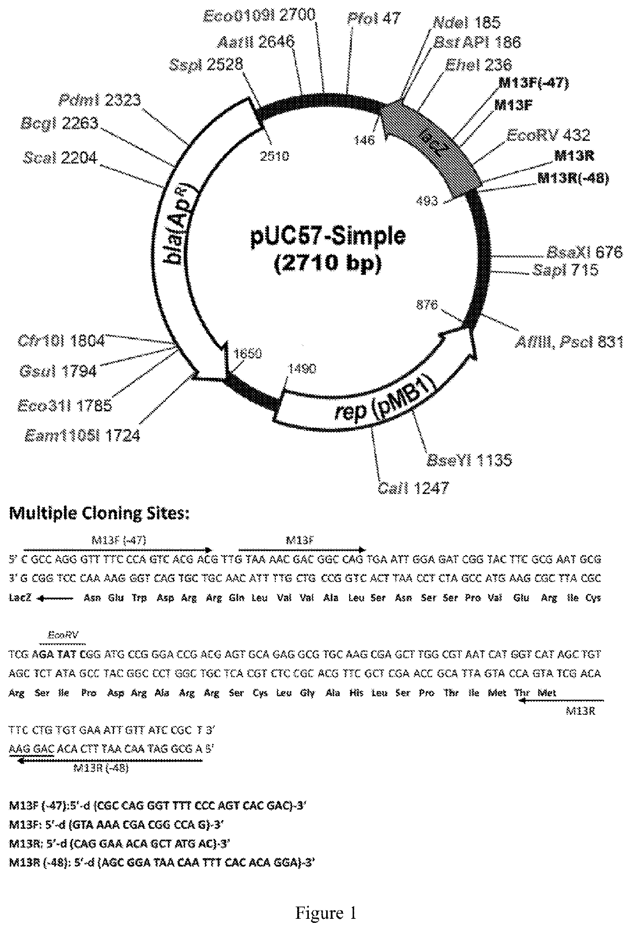 Application of plant as host in expressing pd-1 antibody and/or pd-l1 antibody