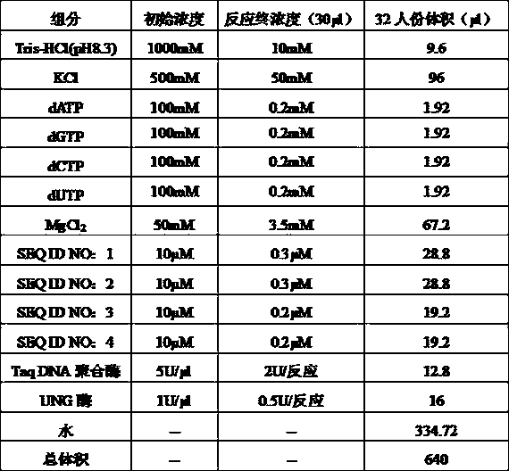 Kit for detecting human cytomegalovirus nucleic acid