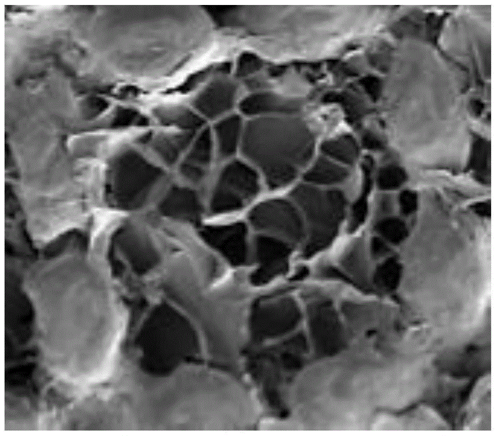 A Three-dimensional Microscaffold Composite Porous Metal Scaffold Adhering to Platelets