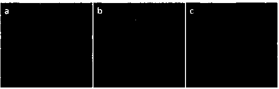 Preparation method of rare-earth oxide material containing tourmaline