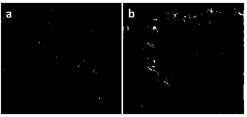 Preparation method of rare-earth oxide material containing tourmaline