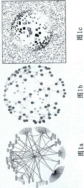 Method and equipment for visualizing a great deal of information