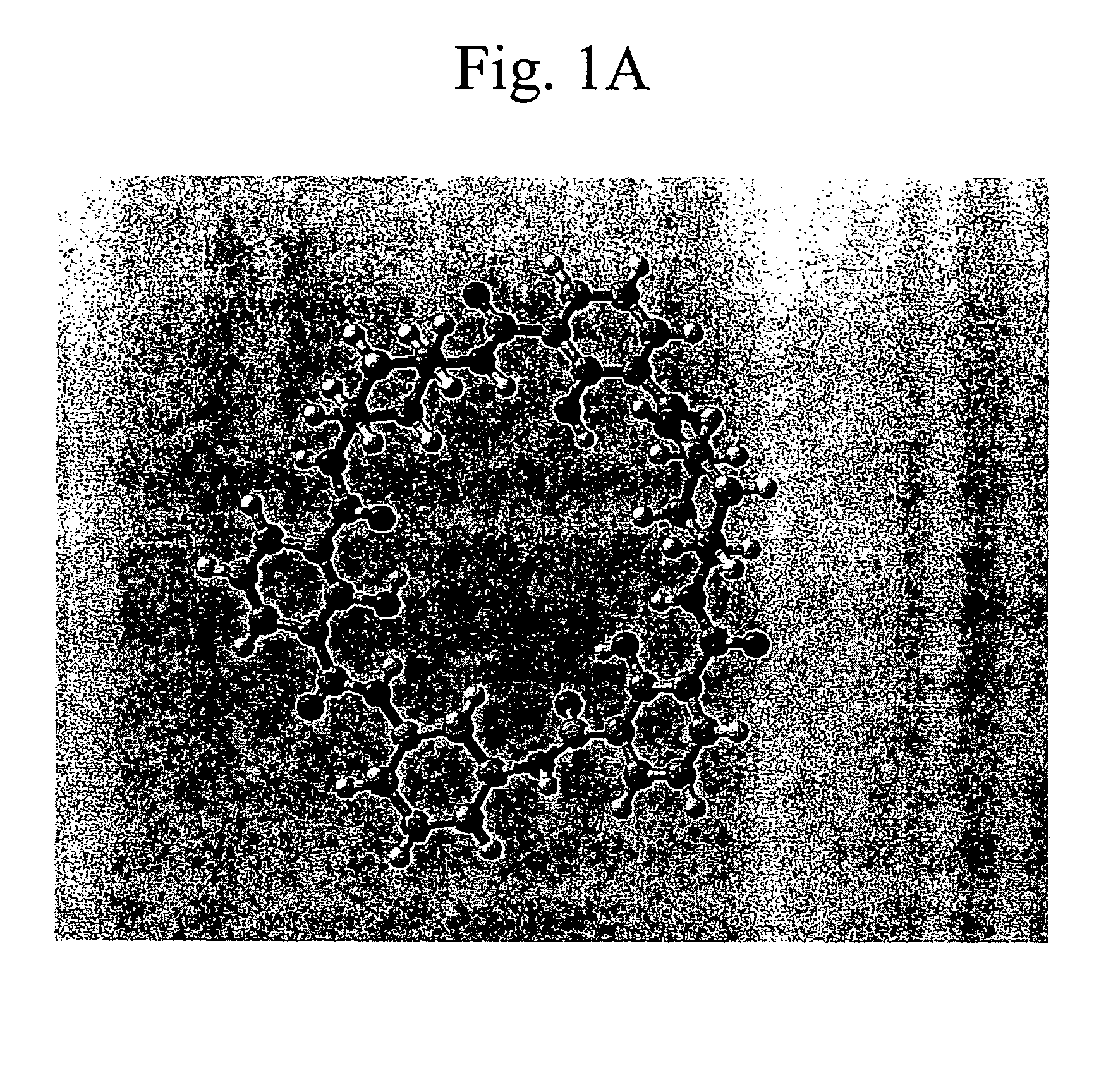 Macrocyclic module compositions