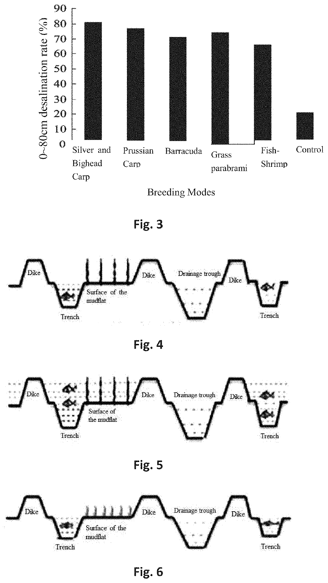 Method for protecting ecology of coastal mudflat and system used in the method