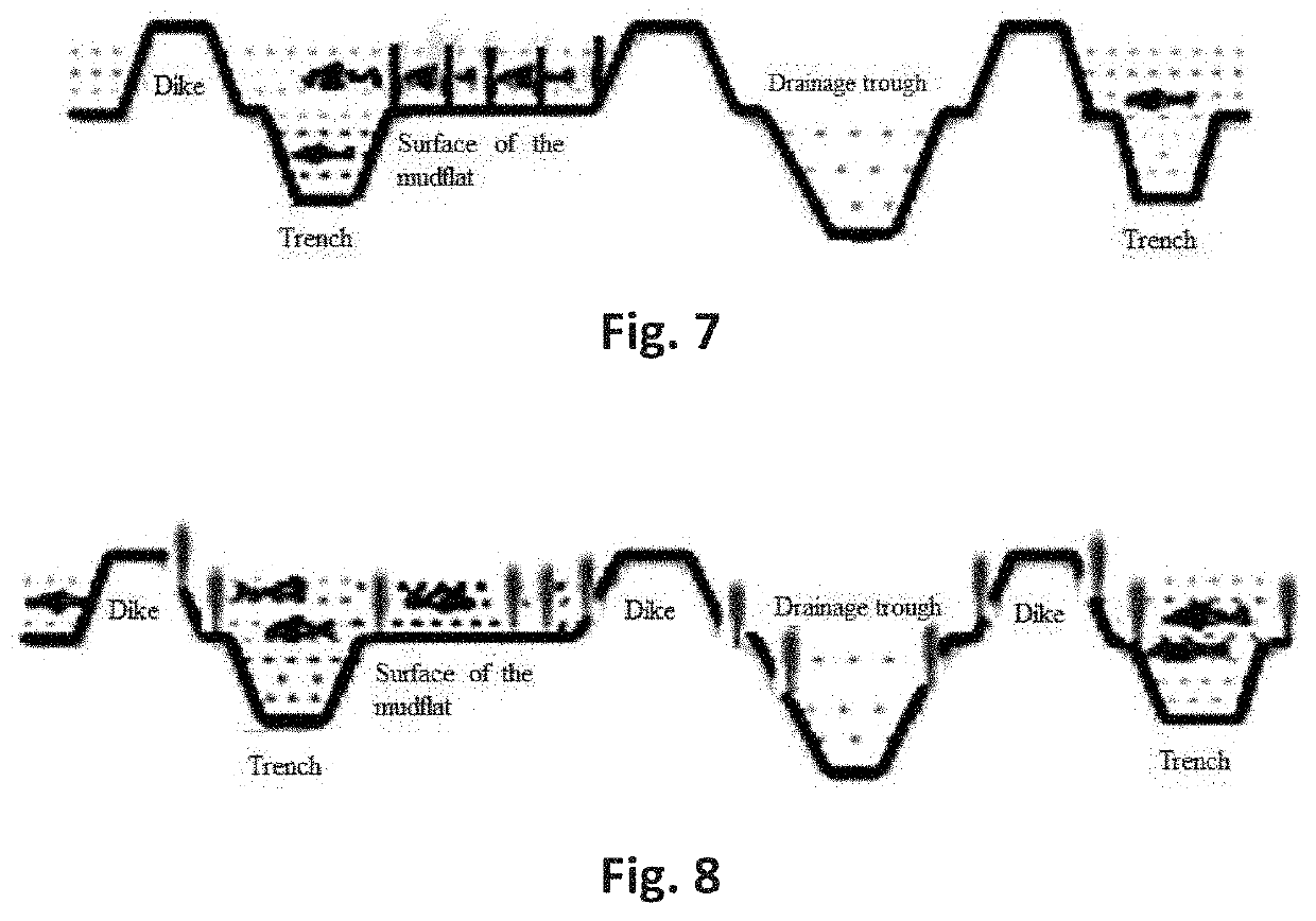 Method for protecting ecology of coastal mudflat and system used in the method