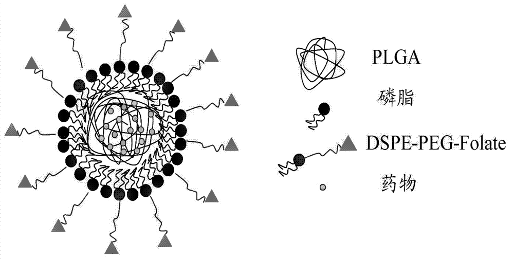 Nano drug delivery system containing polymer and phospholipid and preparation method thereof