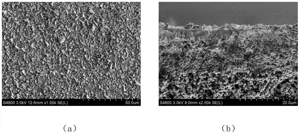 Method for preparing sapo-34 molecular sieve membrane by variable temperature method