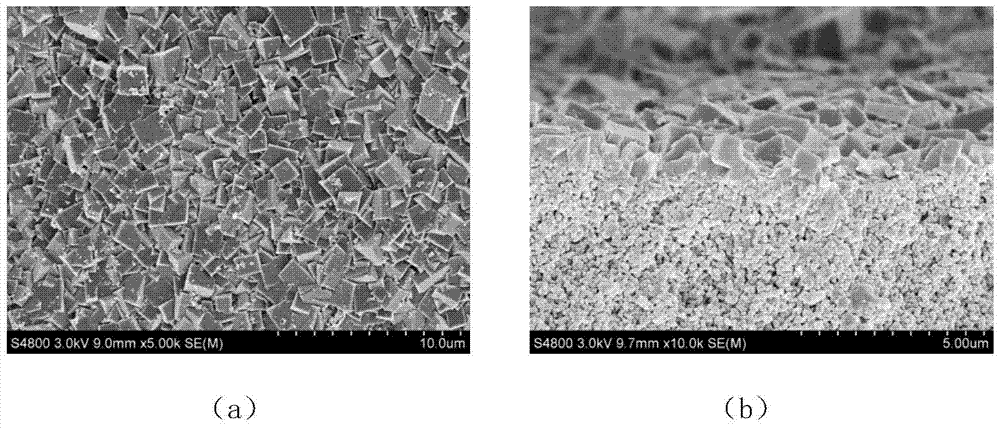 Method for preparing sapo-34 molecular sieve membrane by variable temperature method