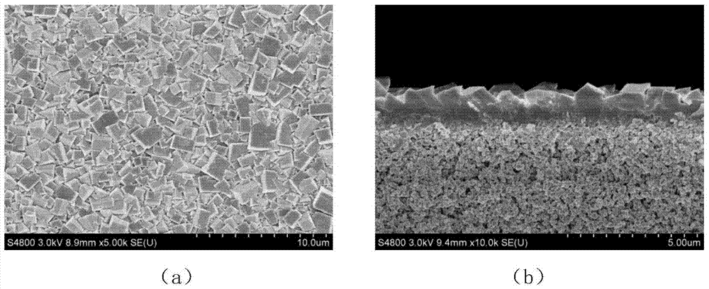 Method for preparing sapo-34 molecular sieve membrane by variable temperature method