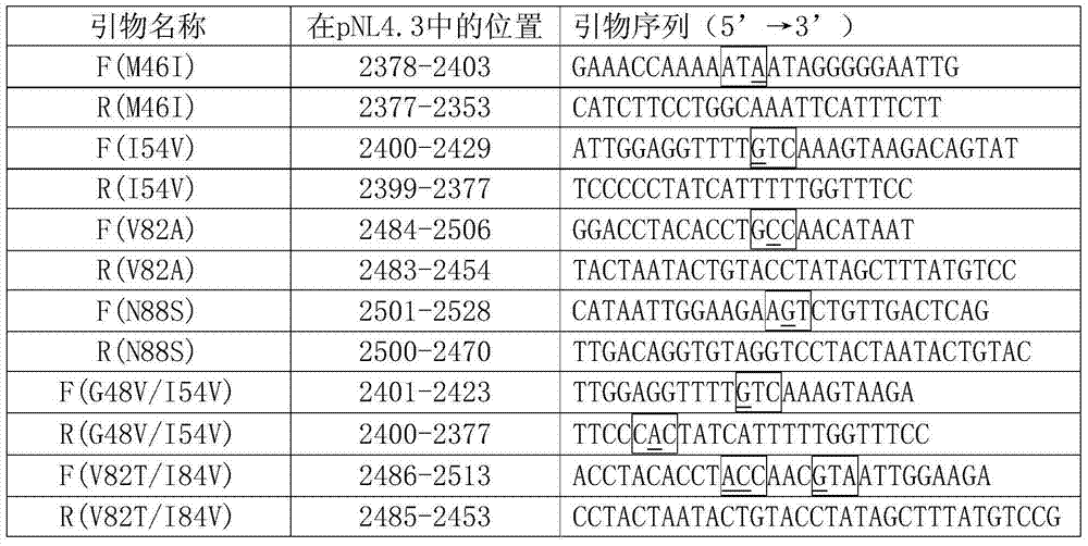 Strain kit for screening and evaluating AIDS (acquired immune deficiency syndrome) therapeutic drugs