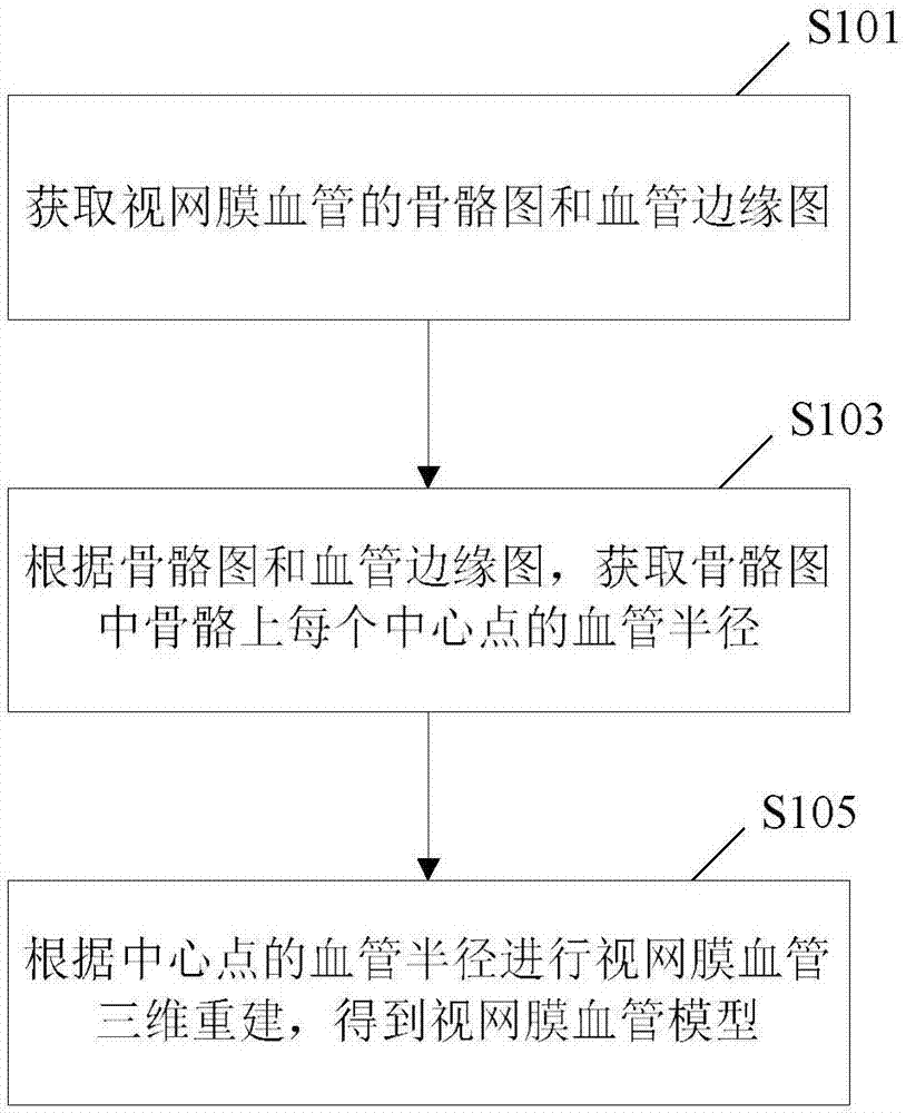 Eye fundus image based three-dimensional model building method and device for retinal vessel