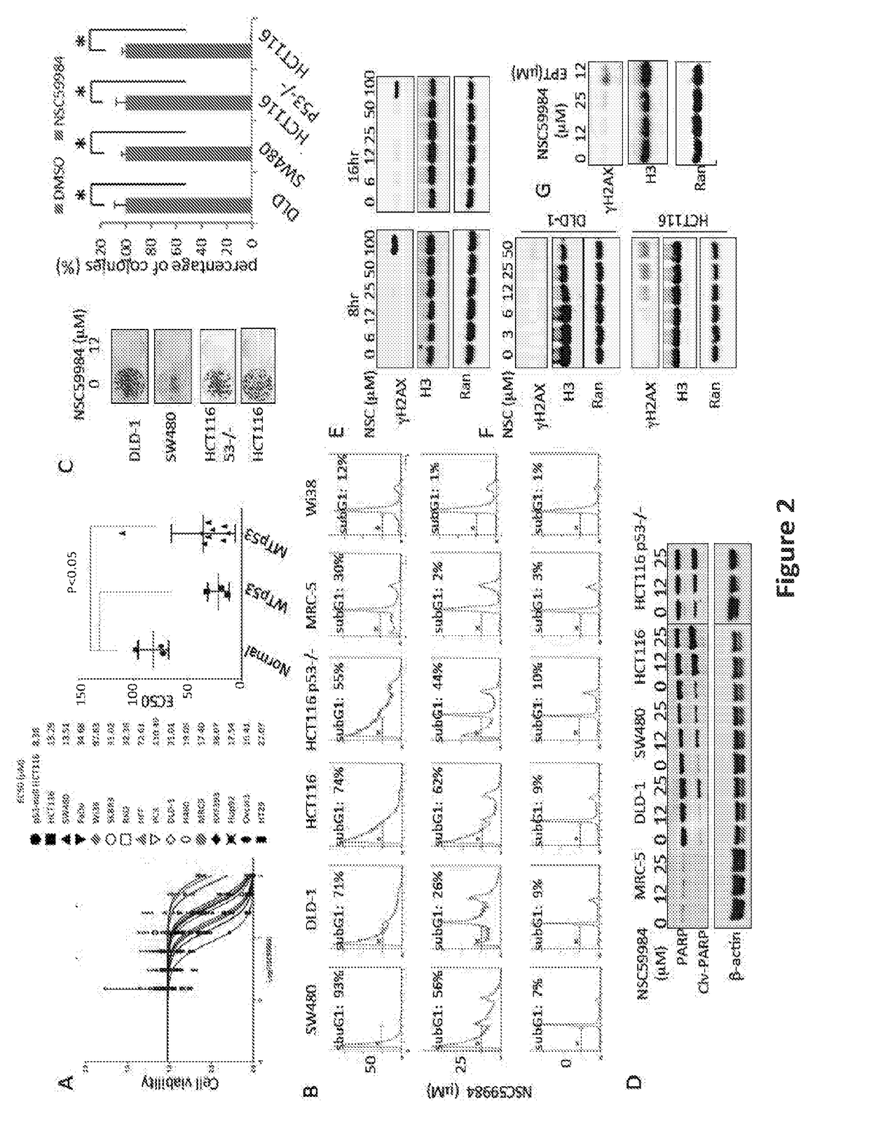 A Compound For Anti-Cancer Therapy That Acts By Targeting GOF Mutant P53 And Stimulates P73 To Restore The P53 Pathway Signaling