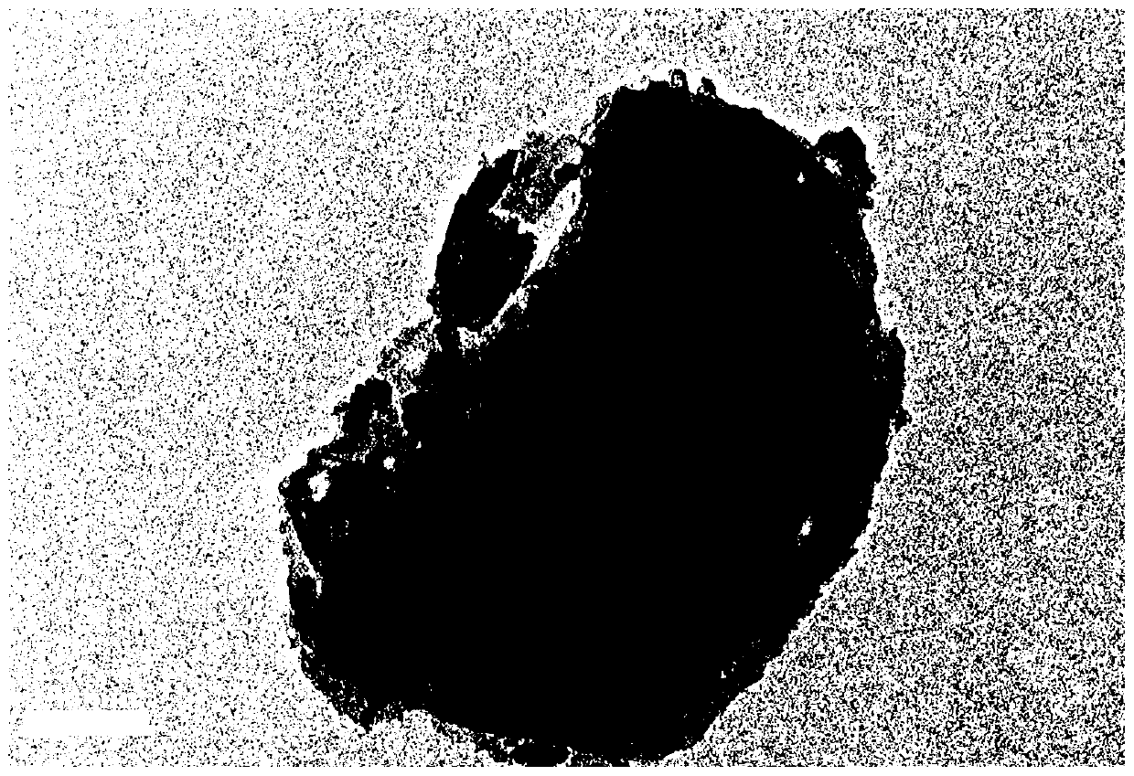 Zinc ion hybrid supercapacitor and preparation method thereof