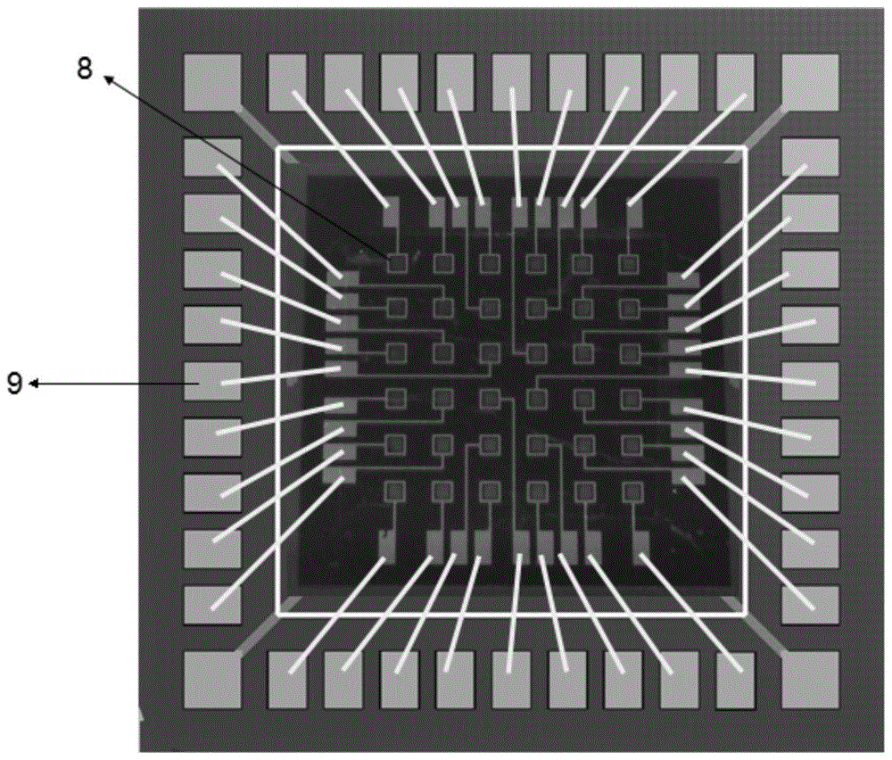 Graphene/silicon dioxide/silicon based avalanche photodetector and preparation method