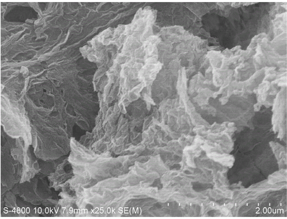 Nitrogen-doped graphene carbon composite material and preparation method thereof