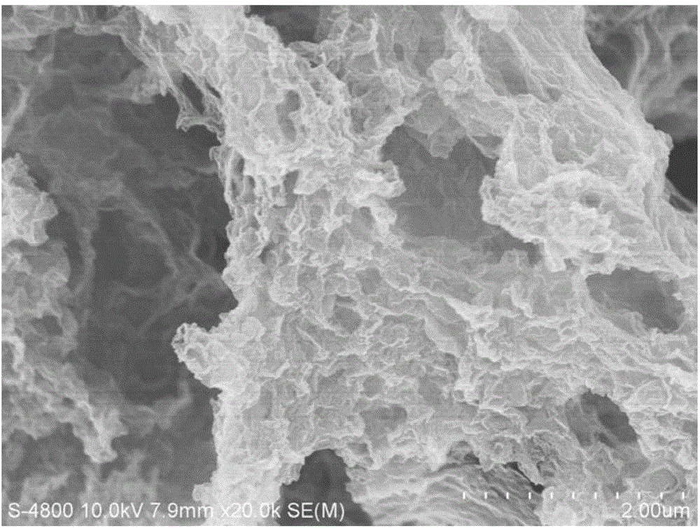 Nitrogen-doped graphene carbon composite material and preparation method thereof