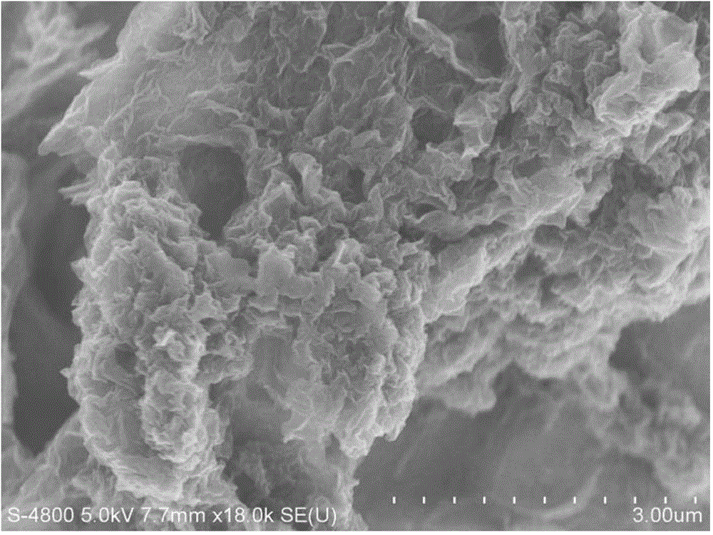 Nitrogen-doped graphene carbon composite material and preparation method thereof