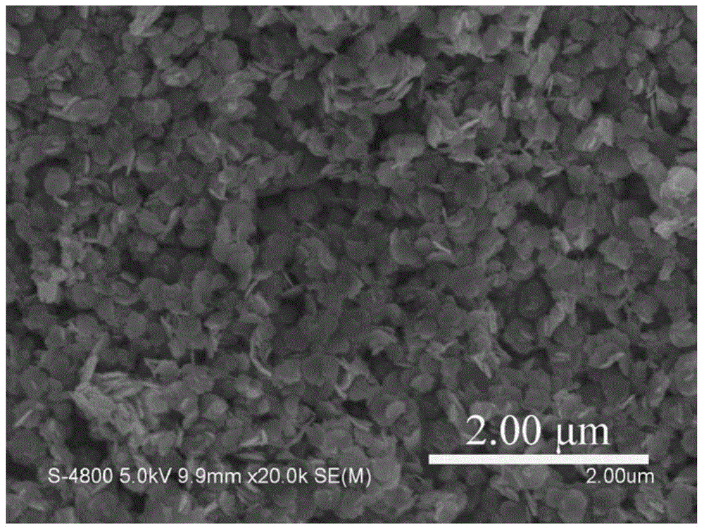 SnS2 nanosheet as well as preparation method and application thereof