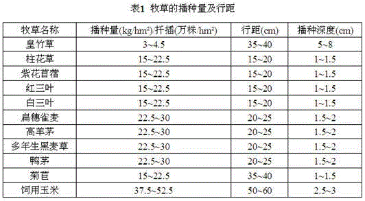 Forage grass planting method for rocky desert area and use method thereof