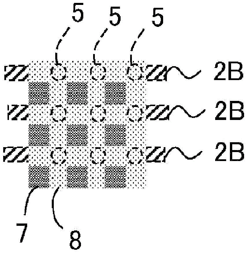 Light source device and liquid crystal display device