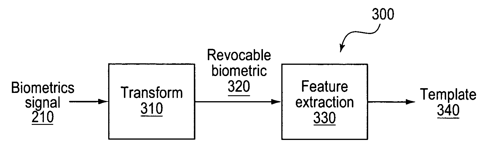 Fingerprint biometric machine representations based on triangles