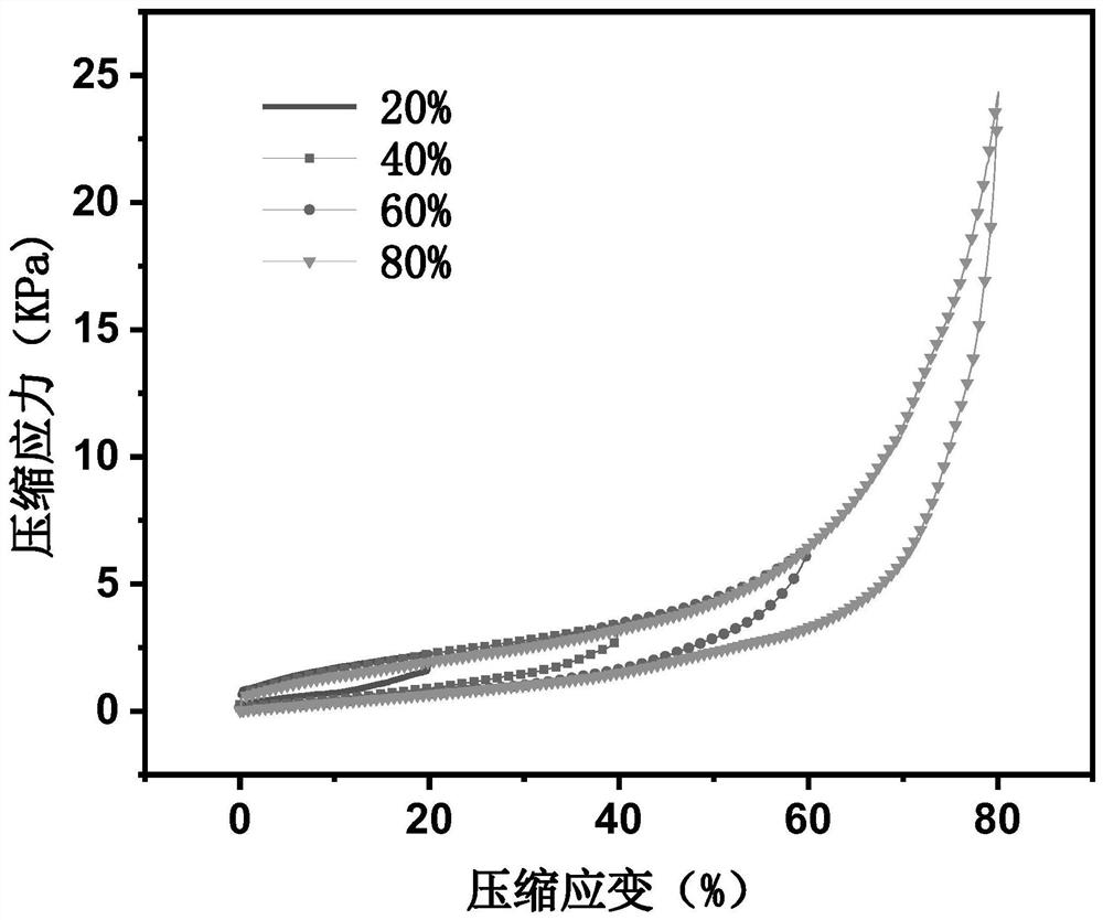 Shape memory chitosan hydrogel and preparation method thereof