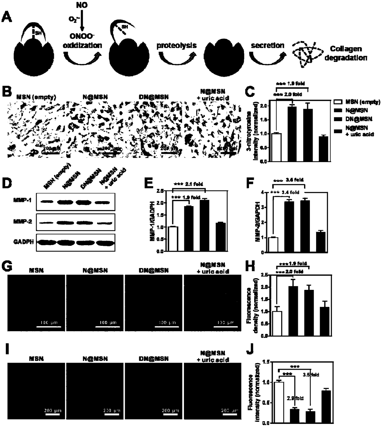 Nano co-delivery system for co-delivering NO donor and nanomedicine