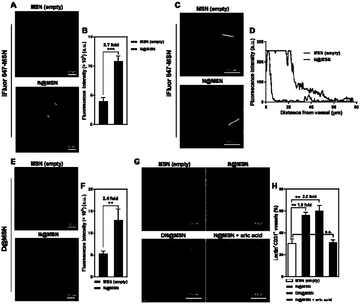 Nano co-delivery system for co-delivering NO donor and nanomedicine