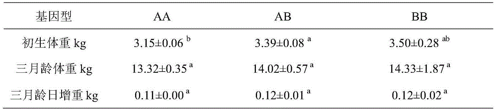 MSTN gene molecular marker selection method for goat growth characters