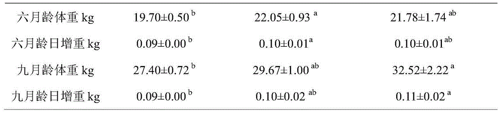 MSTN gene molecular marker selection method for goat growth characters