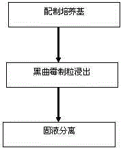 Aspergillus niger granulating and leaching method of copper tailings