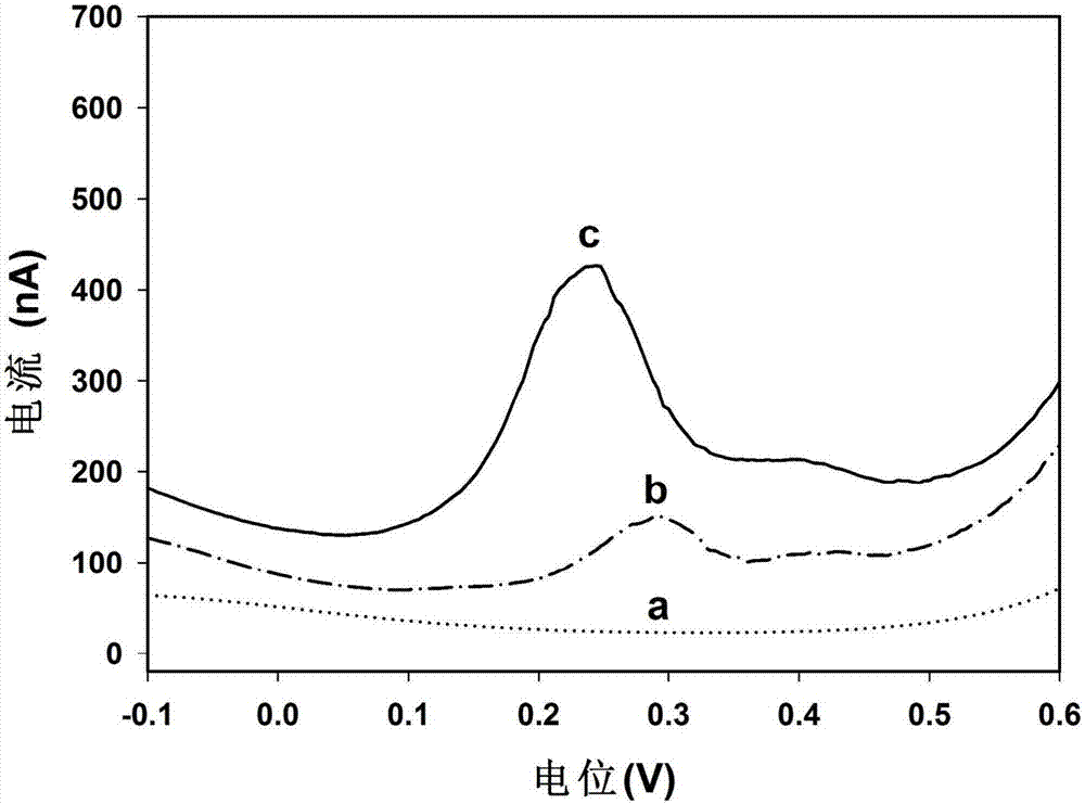 Acupuncture needle-based working electrode electrochemical sensor for detecting trace heavy metals