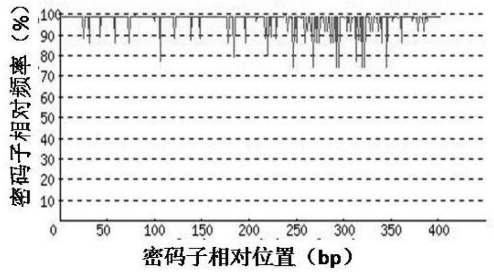 A kind of recombinant Artemisia annua class 1 allergen protein and its application