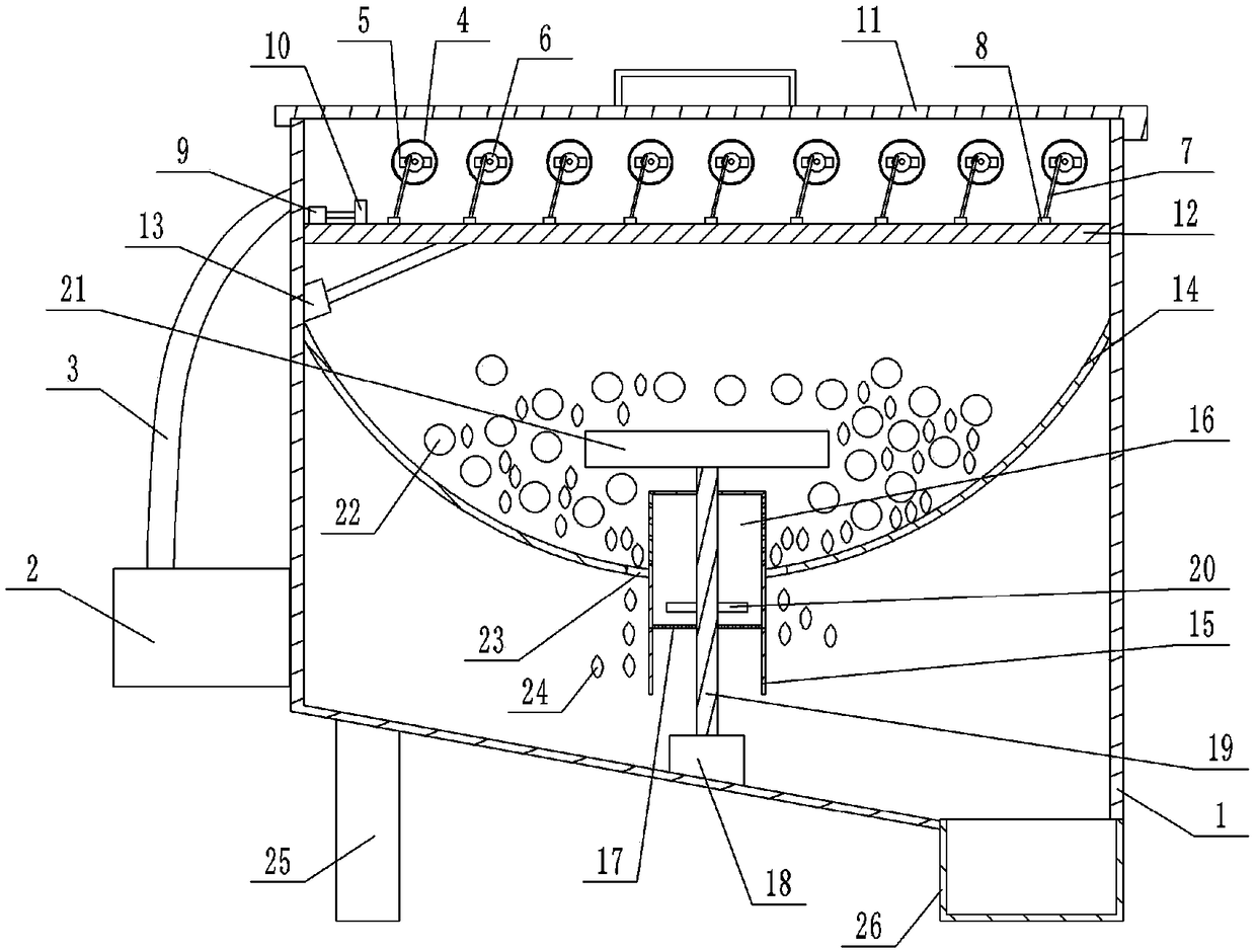 Pumpkin seed sorting machine