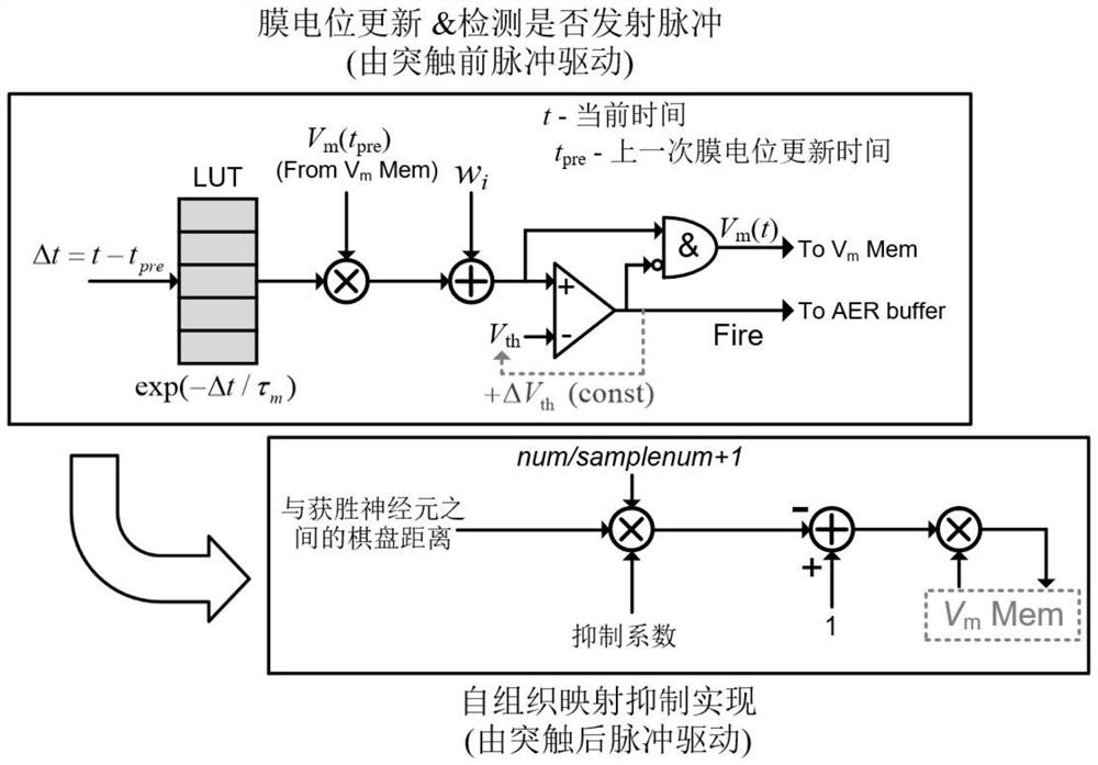 Lightweight on-chip learning method and system based on spiking neural network, and processor