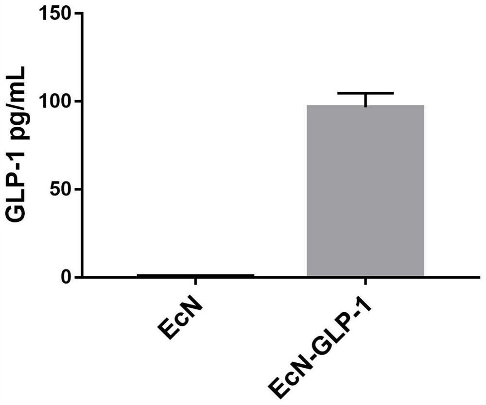 Escherichia coli Nissel 1917 genetically engineered bacterium with hypoglycemic effect, and preparation method and application of escherichia coli Nissel 1917 genetically engineered bacterium