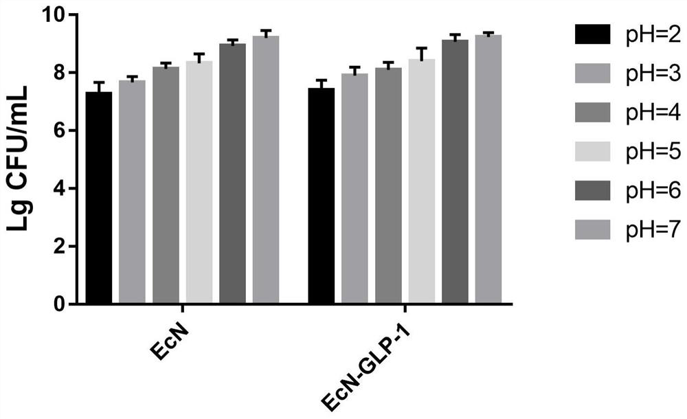 Escherichia coli Nissel 1917 genetically engineered bacterium with hypoglycemic effect, and preparation method and application of escherichia coli Nissel 1917 genetically engineered bacterium