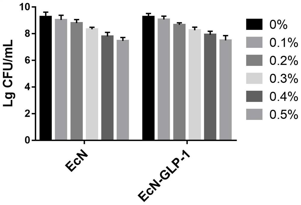 Escherichia coli Nissel 1917 genetically engineered bacterium with hypoglycemic effect, and preparation method and application of escherichia coli Nissel 1917 genetically engineered bacterium