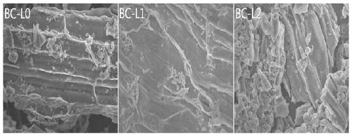 Preparation method for fleur-de-lis manganese-enriched biochars and application thereof