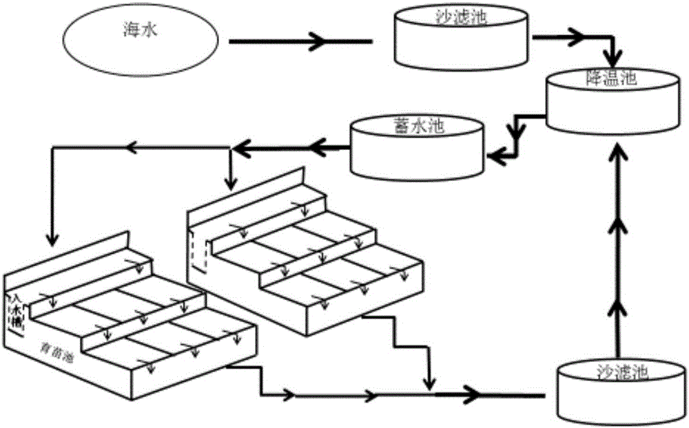 A method for detecting species mixing in the cooling water process of kelp summer seedlings