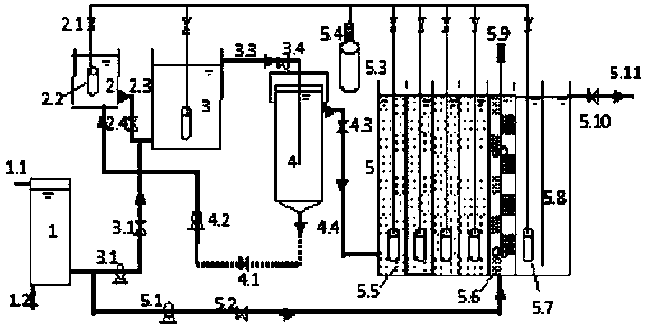 A low-energy urban wastewater denitrification method based on enhanced carbon capture and anaerobic ammonium oxidation