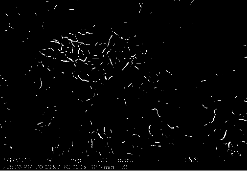 Hydrothermal synthesis method of molybdenum disulfide nano flowers