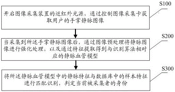 Identity identification method and system based on palm vein features, and image acquisition apparatus